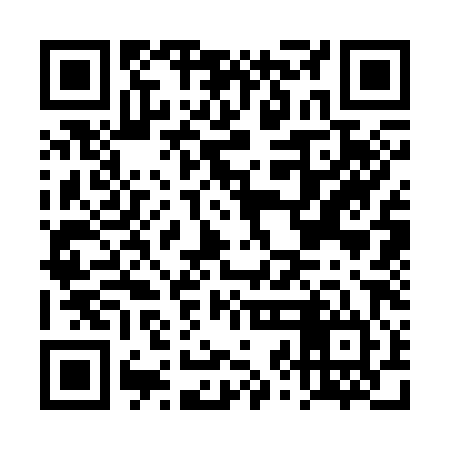 QR code for DZC384