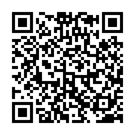 QR code for DZD211
