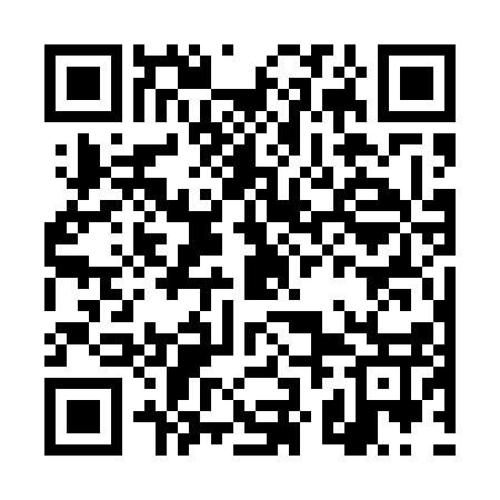 QR code for DZG517