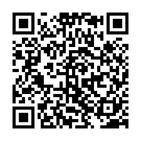 QR code for DZG821