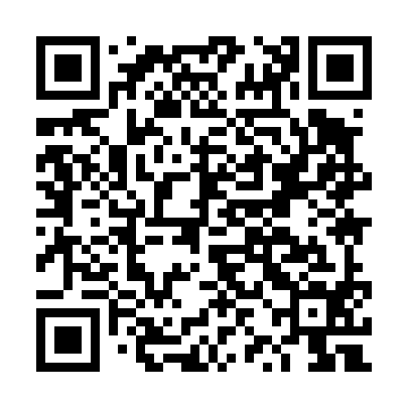 QR code for DZI494