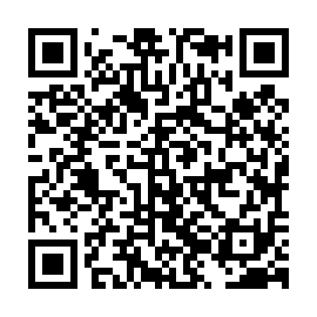 QR code for DZJ411