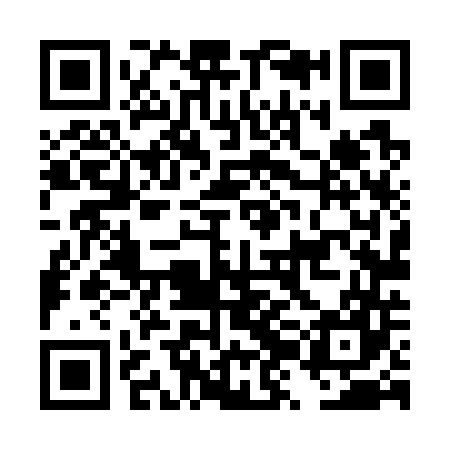 QR code for DZL747