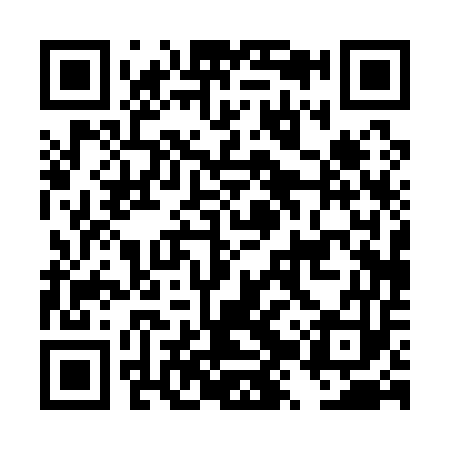 QR code for DZP153