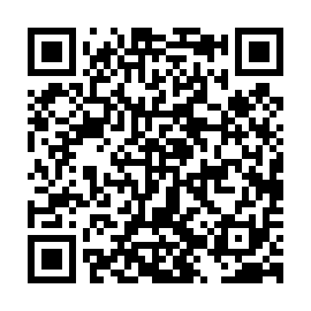 QR code for DZP411