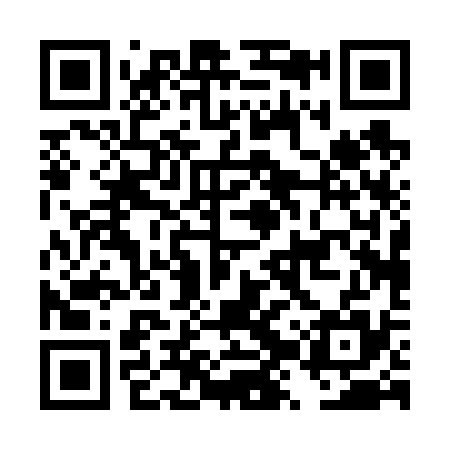 QR code for DZP635