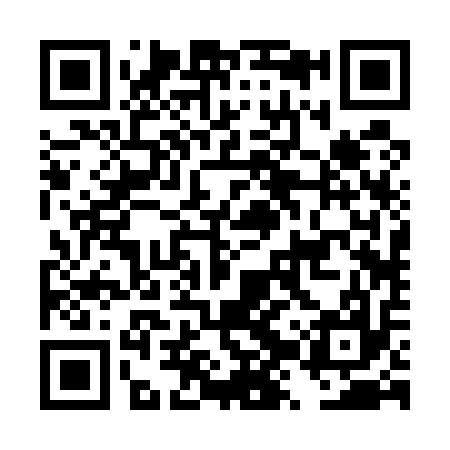 QR code for DZR517