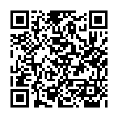 QR code for DZT163