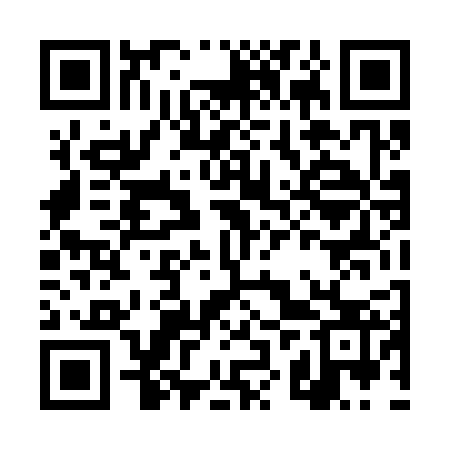 QR code for DZT323