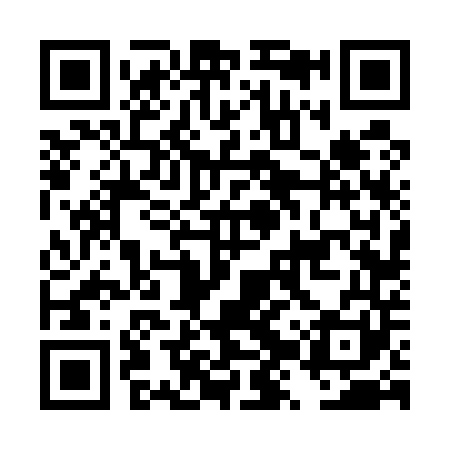 QR code for DZV541