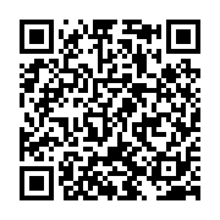 QR code for DZW211