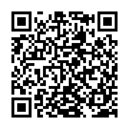 QR code for DZY304