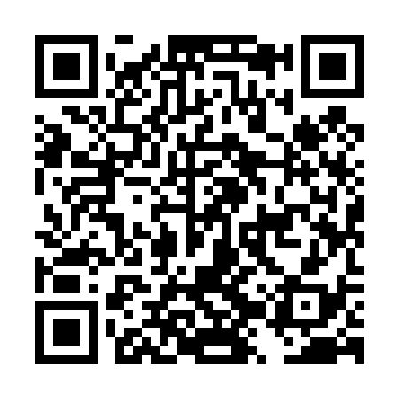 QR code for DZY438