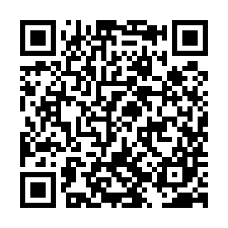 QR code for DZY587