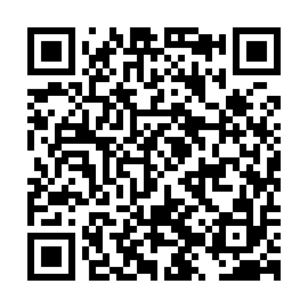 QR code for DZY912