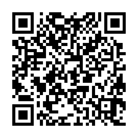QR code for EEG382