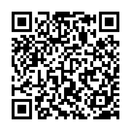 QR code for EES295