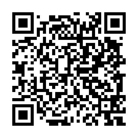 QR code for EFL498