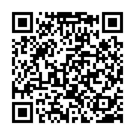 QR code for EGM339