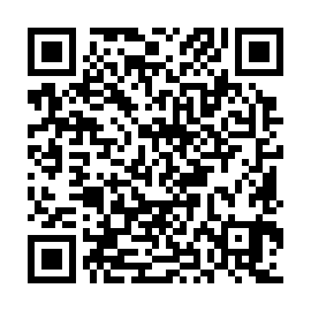 QR code for EHM381