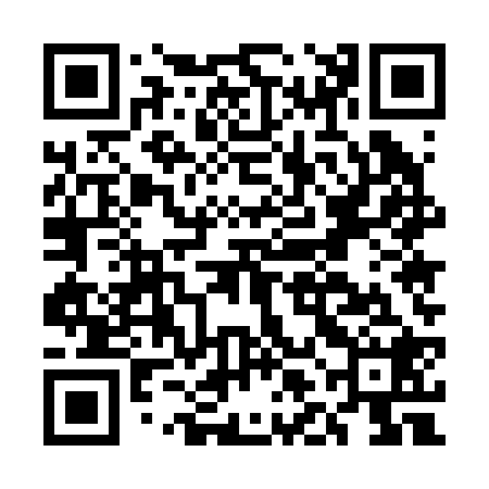 QR code for ELE228