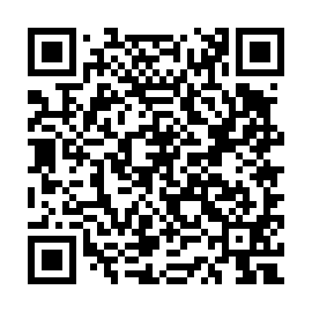 QR code for ESE491