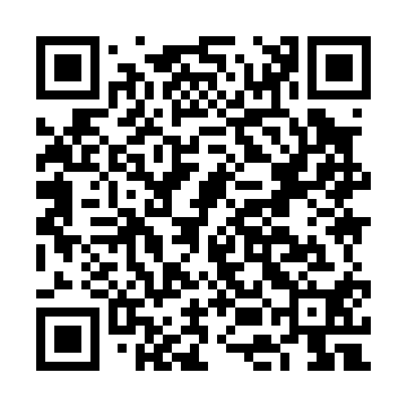 QR code for FEI010