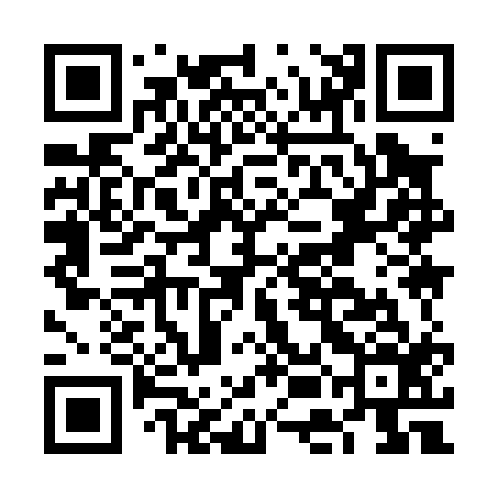 QR code for FEI016
