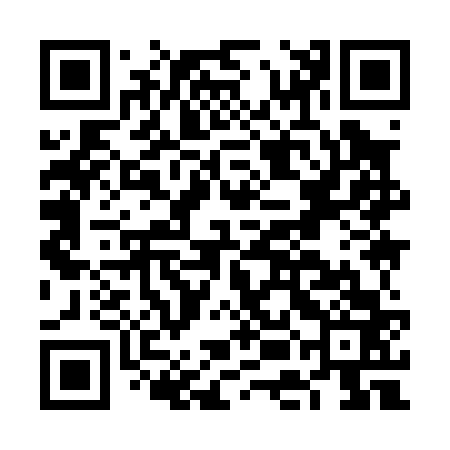 QR code for FEI063