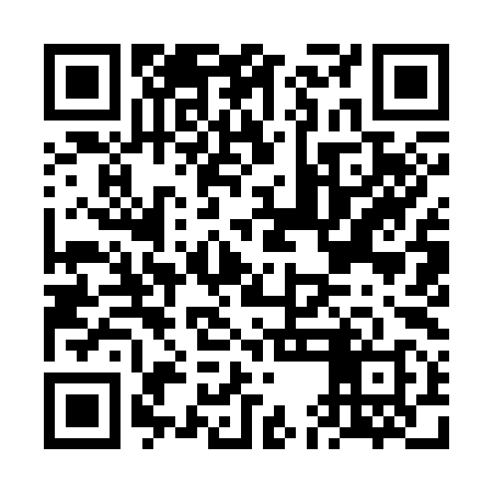QR code for FEI398