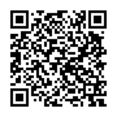 QR code for FEI460