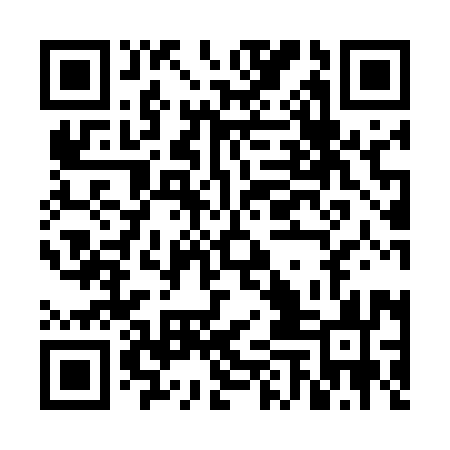 QR code for FEI593