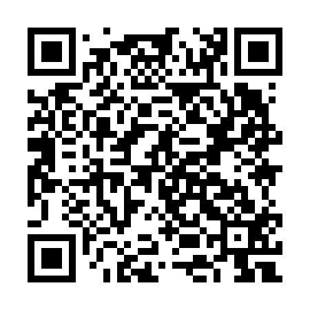 QR code for FEI613
