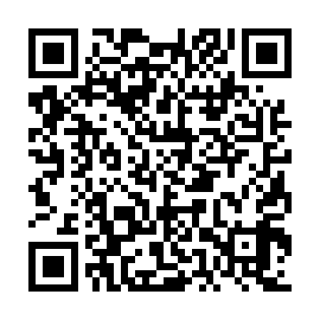 QR code for FES519