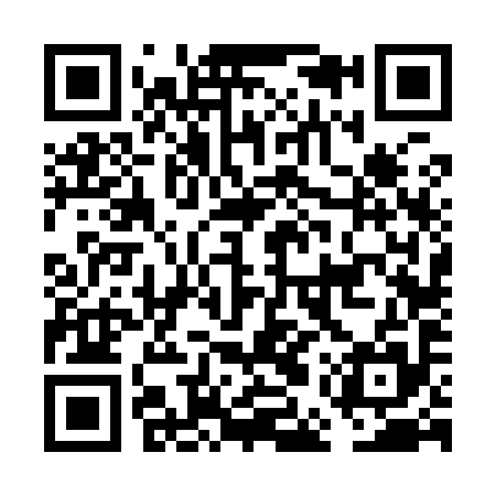 QR code for FEV995