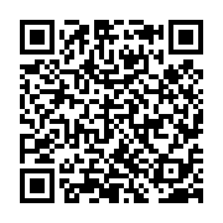 QR code for FFN419