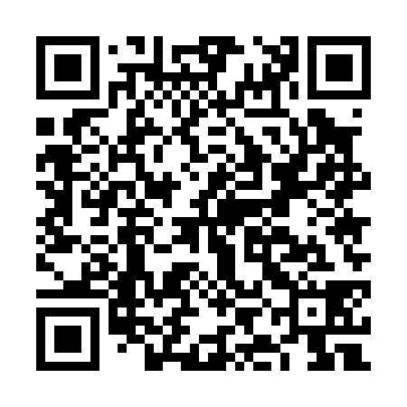 QR code for FIE038