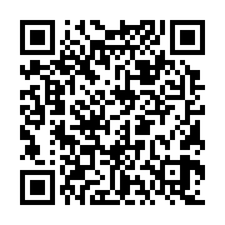 QR code for FIE369