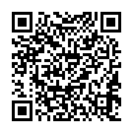 QR code for FIE959