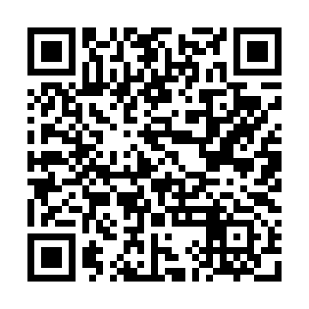 QR code for FII493