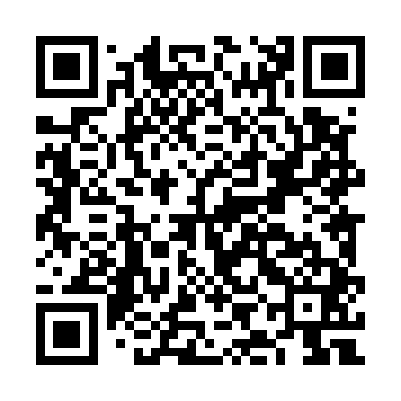 QR code for FIL541