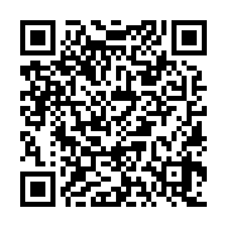 QR code for FIO838
