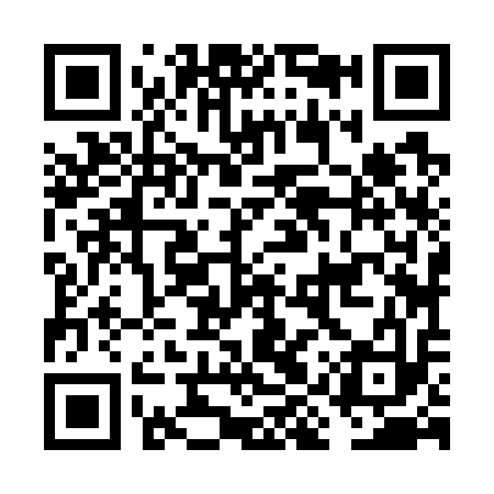QR code for FIZ713