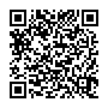 QR code for FIZ804