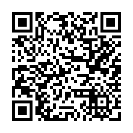 QR code for FJG336
