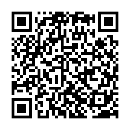 QR code for FJI371