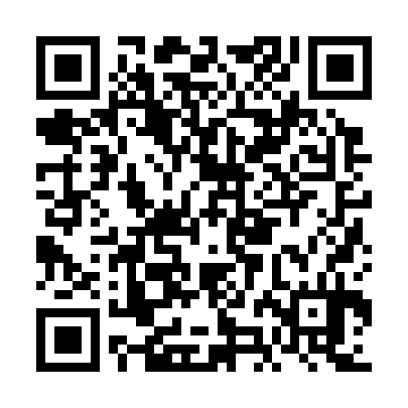 QR code for FJJ334