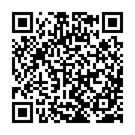 QR code for FJP387