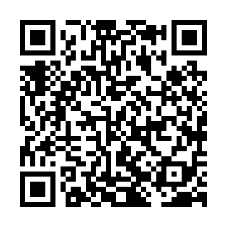 QR code for FJX219
