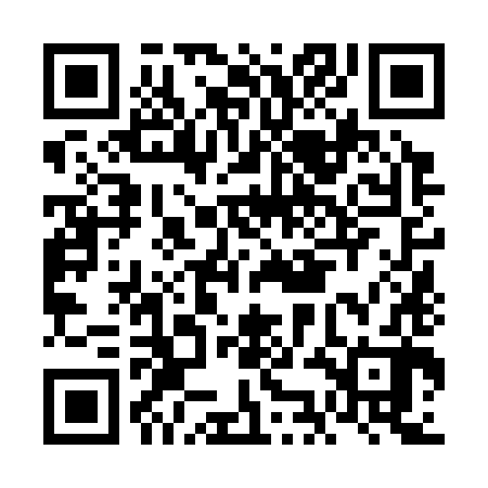 QR code for FKN382